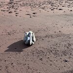 Photo taken by Gary W