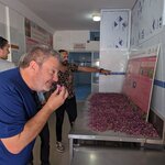 Photo taken by Beth M