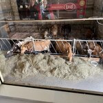 Photo taken by Dawn S