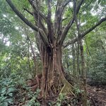 Photo taken by Chris H