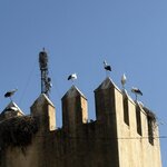 Photo taken by Pam L