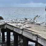 Photo taken by Alexandre M