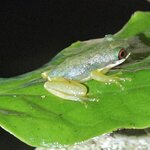 Photo taken by Touraj K