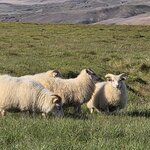 Photo taken by Scott C