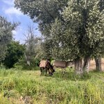 Photo taken by Vivianh H