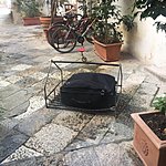 Photo taken by Allyson A