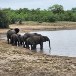 Photo taken by Yin Ling K