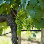 Photo taken by Marla G