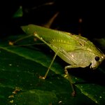 Photo taken by Sabine V