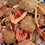 Photo taken by Diana G