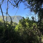 Photo taken by Brad P