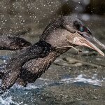 Photo taken by mindy n