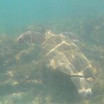 Photo taken by Gary W