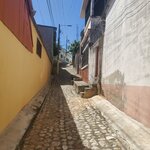 Photo taken by Camille S