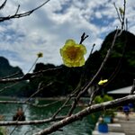 Photo taken by Mylan L