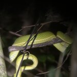 Photo taken by Bonnie Y