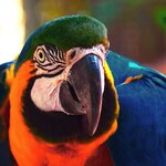 Photo taken by Dennis H