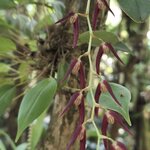 Photo taken by Kathy K