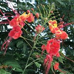 Photo taken by Andrew H