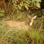 Photo taken by Wayne D