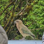 Photo taken by Ayesha A