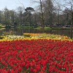 Photo taken by Brian M