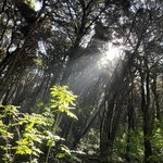 Photo taken by Catherine L