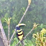 Photo taken by Denise M