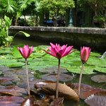 Photo taken by Anil C