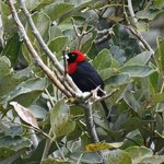 Photo taken by Graeme W