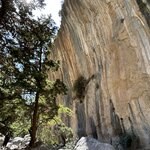 Photo taken by Darcy G