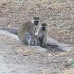 Photo taken by Kristin M