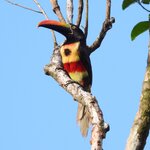 Photo taken by Ros B