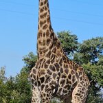 Photo taken by rhonda c