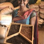 Tea Factory guide | Photo taken by Karyn R