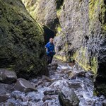 Photo taken by William A