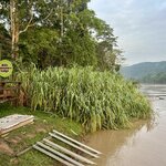 Photo taken by Rob C