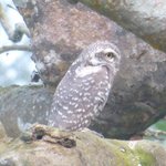 Photo taken by Arpita D