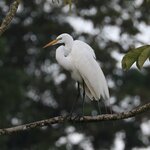 Photo taken by Joyce C