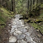 Photo taken by Sylvia S