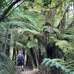 Photo taken by Lisa S