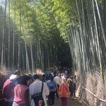 Photo taken by Kirti P