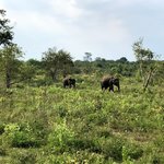 Photo taken by Karyn R