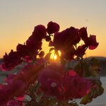 Photo taken by Jay H