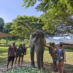 Photo taken by Bijal P