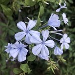 Photo taken by Bill R