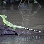 Photo taken by Andy H