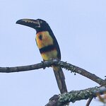 Photo taken by Joyce C