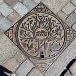 Photo taken by Andrea Y