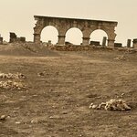 Photo taken by Betsy V